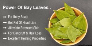 Bay Leaves, The Secret Weapon for Luscious Hair