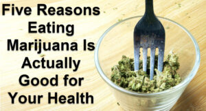 Discover the Benefits of Eating Cannabis Leaves, A Nutritional and Therapeutic Powerhouse