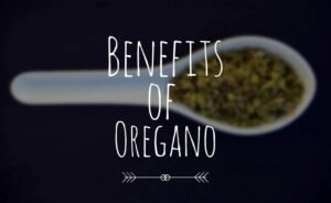 Unlock the Health Benefits of Boiled Oregano Leaves