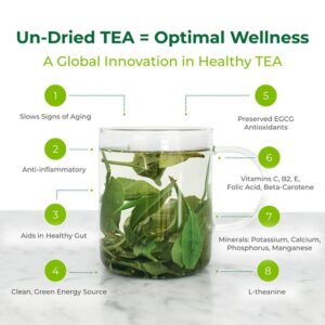 Benefits of Eating Tea Leaves, A Culinary and Health Odyssey