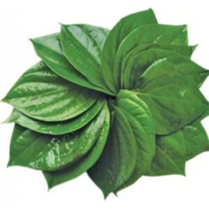 Benefits of Eating Paan Leaves, An Ayurvedic Delight with Surprising Health Perks