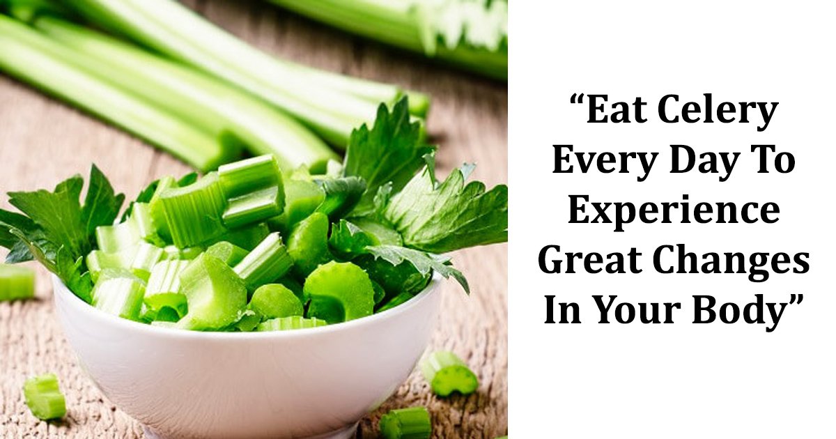 The Hidden Health Benefits of Celery Leaves, Unlocking Natures Superfood