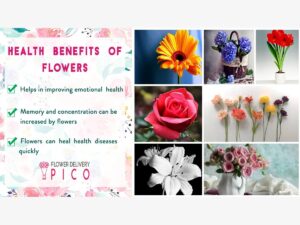 Spiritual Benefits of Flowers, Enhancing Your Journey of Healing and Connection