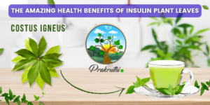 Discover the Health Benefits of Insulin Leaves, Natures Hidden Treasure