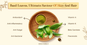 Thai Basil Leaves, A Culinary and Medicinal Herb with Impressive Benefits