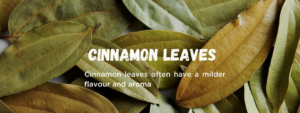 Unveiling the Health Benefits of Bay Leaves and Cinnamon