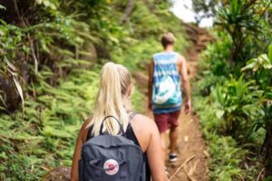 Health Benefits of Hiking in the Woods, A Path to Physical, Mental, and Cognitive Well-being