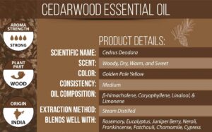 Unveiling the Therapeutic Benefits of Cedar Wood Essential Oil