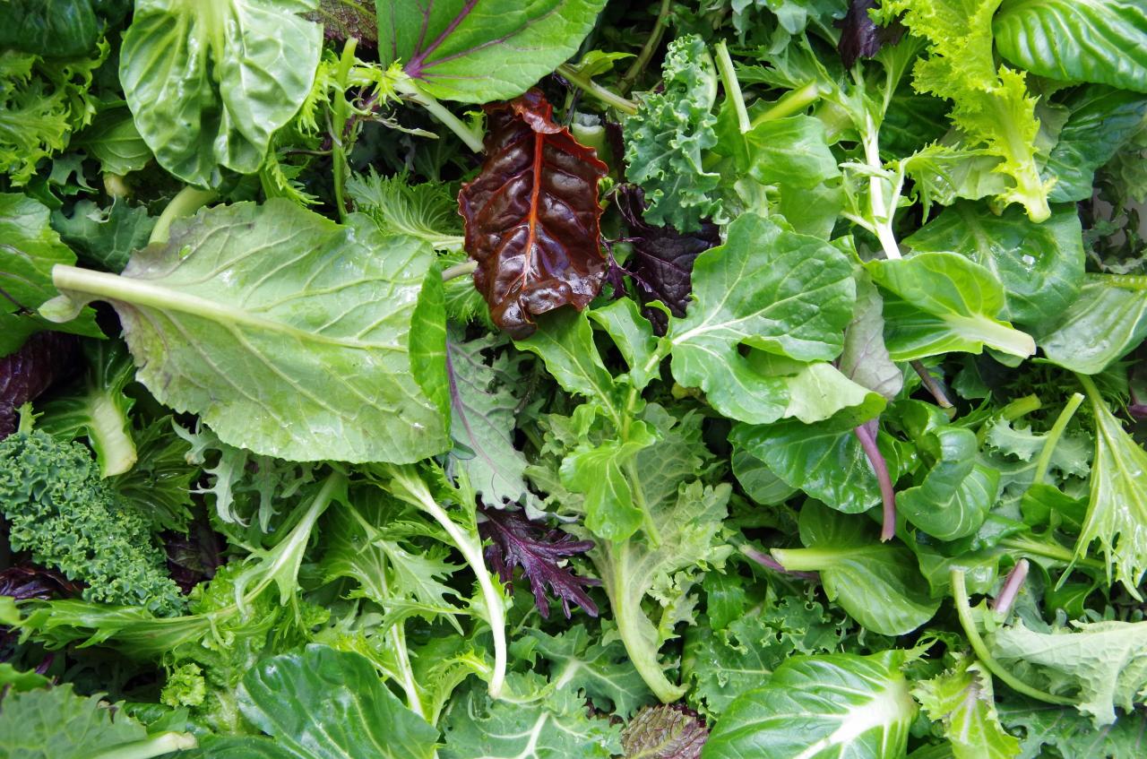 Benefits of Salad Leaves, Nutrition, Health, and Culinary Delight