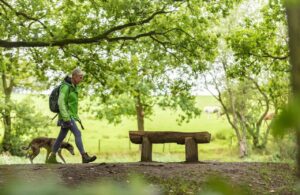 Unveiling the Health Benefits of Forest Bathing, A Path to Well-being