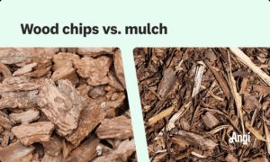 Benefits of Wood Chip Mulch, A Comprehensive Guide to Its Soil Enhancement, Moisture Retention, and More