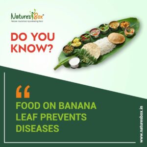 What Are the Benefits of Banana Leaves? A Comprehensive Guide to Their Nutritional Value, Culinary Uses, and More