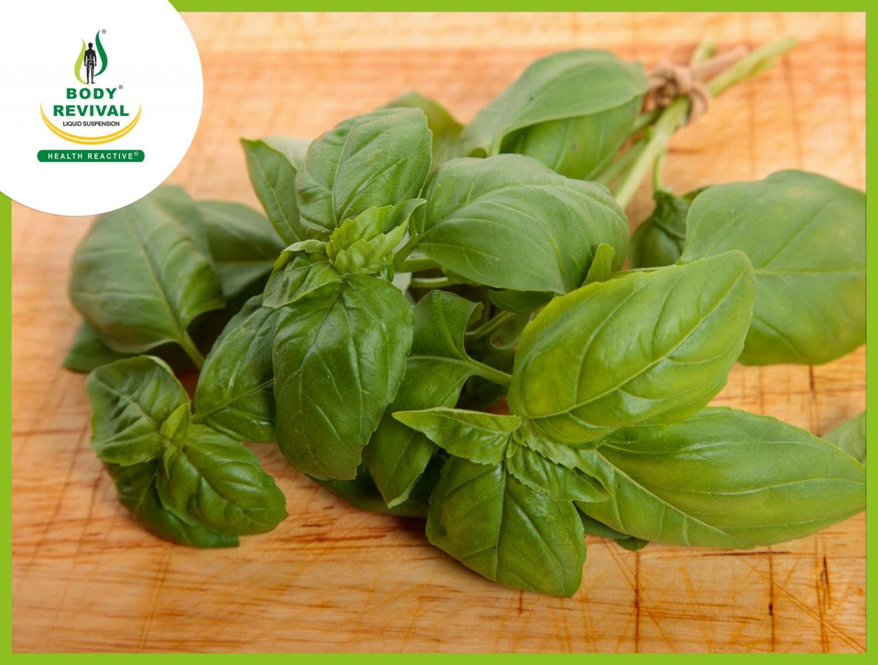 Unveiling the Side Effects and Benefits of Basil Leaves for Skin, A Comprehensive Guide