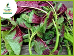 Unlock the Nutritional Powerhouse, Discover the Benefits of Amaranth Leaves