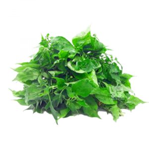 Benefits of Sili Leaves, A Medicinal Herb with Culinary Delights