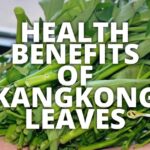 Unveiling the Nutritional Powerhouse, Benefits of Kangkong Leaves