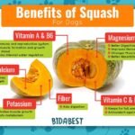 Discover the Hidden Treasure of Squash Leaves, A Nutritional Powerhouse