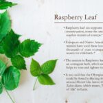 What Are the Benefits of Smoking Raspberry Leaves?