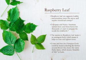 What Are the Benefits of Smoking Raspberry Leaves?