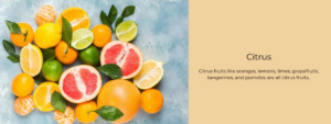 Benefits of Citrus Leaves, A Nutritional Powerhouse with Medicinal Value