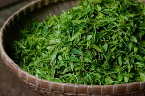 Unveiling the Health-Promoting Powers of Chinese Tea Leaves