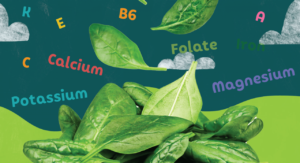 Unveiling the Benefits of Baby Spinach Leaves, A Nutritional Powerhouse